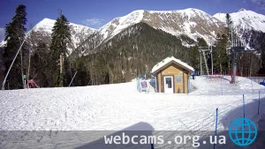 «Shelter Fir» Webcam