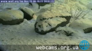 Веб-камера у скалы приветствия