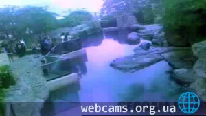 Вольер с тюленями-монахами