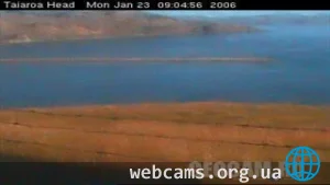Taiaroa Heads webcam