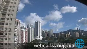 Web-камера Victoria Park